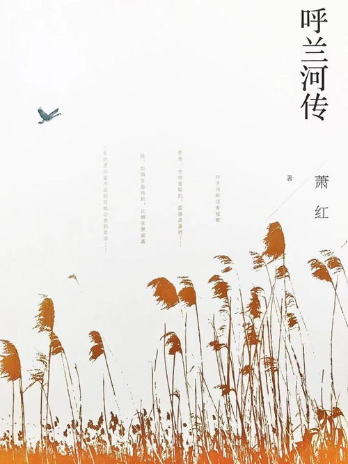 野草與星光 蕭紅誕辰110周年，文學(xué)書寫與生命成長(zhǎng)的雙重軌跡